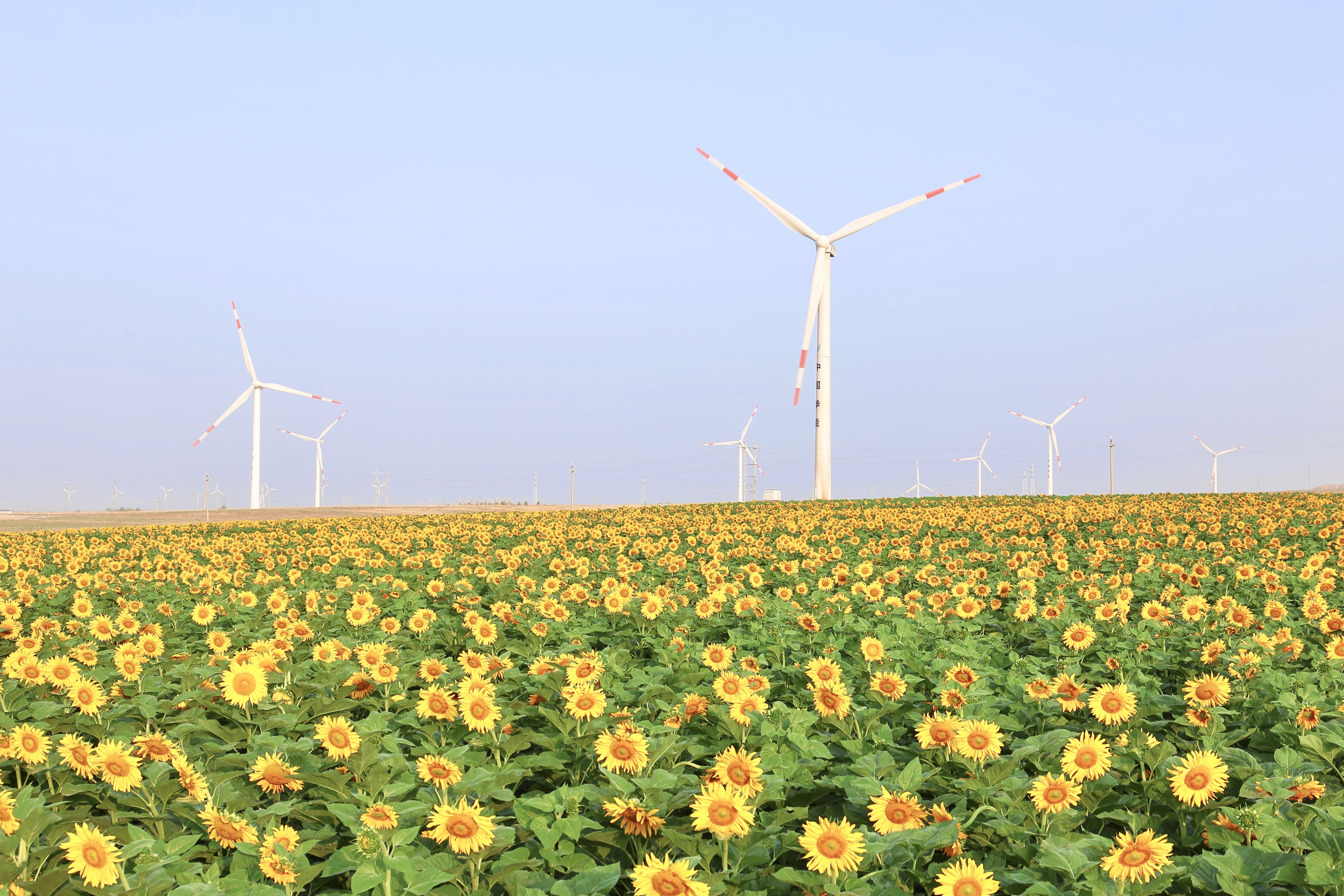 金沙乐娱场5555199vip(中国游)官方网站