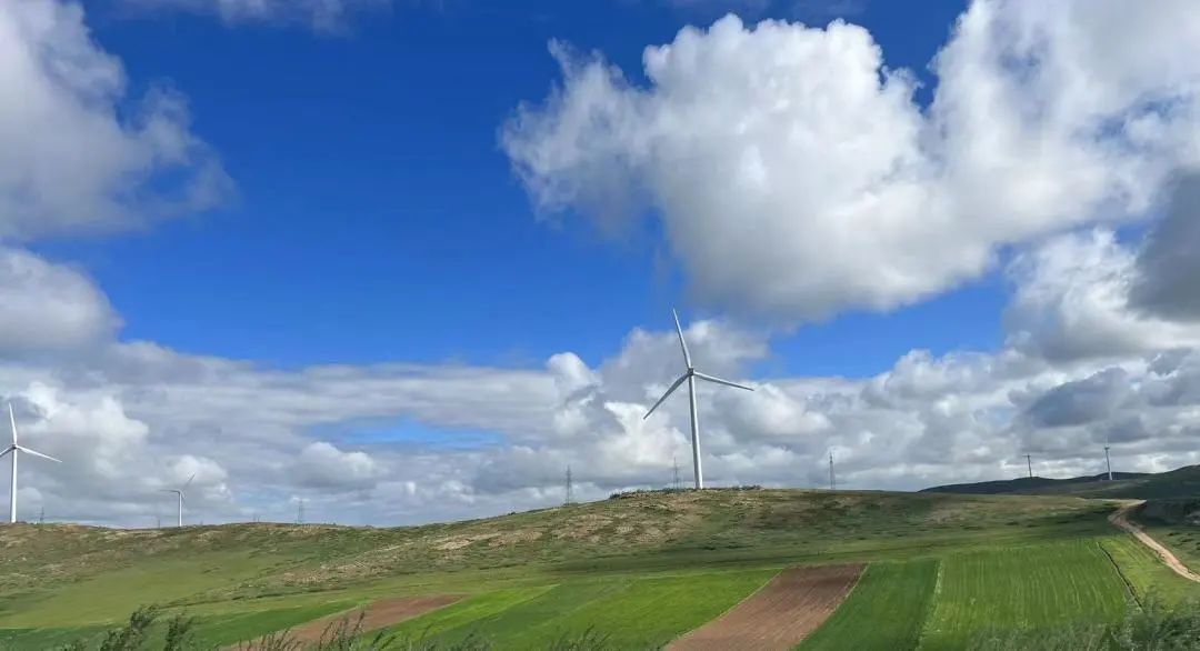 金沙乐娱场5555199vip(中国游)官方网站