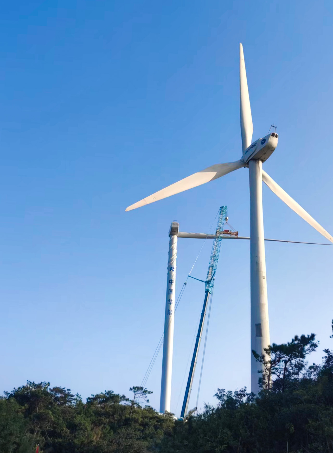 金沙乐娱场5555199vip(中国游)官方网站